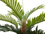 EUROPALMSKentia palm tree, artificial plant, 150cm