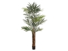 EUROPALMSKentia palm tree, artificial plant, 300cm