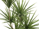 EUROPALMSYucca palm, artificial plant, 130cm