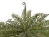 EUROPALMSBoston fern, artificial plant, green, 70cm