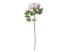 EUROPALMSPeony Branch classic, artificial plant, pink, 80cm