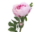 EUROPALMSPfingstrosenzweig Classic, Kunstpflanze, pink, 80cmArtikel-Nr: 82530210