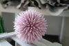 EUROPALMSSucculent Ball (EVA),artificial plant, pink, 20cm
