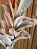 EUROPALMSOwl Feather Branch (EVA), artificial, 110cmArticle-No: 82532004