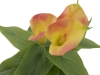 EUROPALMSCalla mini, Kunstpflanze, gelb orange, 43cmArtikel-Nr: 82540346