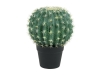 EUROPALMSBarrel Cactus, artificial plant, 34cm