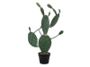 EUROPALMSNopal cactus, artificial plant, 76cm