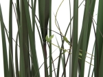 EUROPALMSWillow branch grass, artificial, 183cm