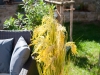 EUROPALMSReed Grass Bunch, artificial, 118cm