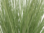 EUROPALMSOrnamental grass, artificial, 65cm