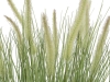 EUROPALMSOrnamental blooming grass, artificial, 70cm