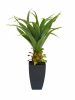 EUROPALMSAgave plant with pot, artificial plant, 75cm