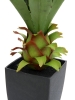 EUROPALMSAgave plant with pot, artificial plant, 75cmArticle-No: 82600160