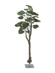 EUROPALMSPothosbaum, Kunstpflanze, 175cm
