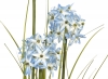 EUROPALMSAllium grass, artificial plant, blue, 120 cm