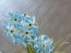 EUROPALMSAlliumgras, Kunstpflanze, blau, 120 cm