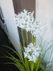 EUROPALMSAlliumgras, Kunstpflanze, weiß, 120 cm