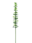 EUROPALMSKristalleukalyptus, Kunstpflanze, grün, 81cm 12x
