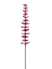 EUROPALMSKristalleukalyptus, Kunstpflanze, burgund, 81cm 12x