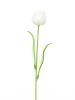 EUROPALMSCrystal tulip, artificial flower, white 61cm 12x