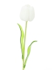 EUROPALMSCrystal tulip, artificial flower, white 61cm 12x