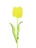 EUROPALMSCrystal tulip, yellow, artificial flower, 61cm 12x