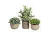 EUROPALMSTischpflanzen im Dekotopf, Kunstpflanzen, 3er-SetArtikel-Nr: 82600300