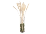 JOLIPAPampas grass straw bunch, dried, natur, 75cm