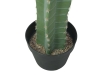 EUROPALMSMexikanischer Kaktus, Kunstpflanze, grün, 97cm