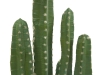 EUROPALMSMexikanischer Kaktus, Kunstpflanze, grün, 123cm