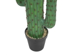EUROPALMSMexikanischer Kaktus, Kunstpflanze, grün, 173cmArtikel-Nr: 82801073