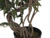 EUROPALMSFicus multiple spiral trunk, artificial plant, green, 130cmArticle-No: 82806314