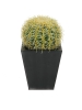 EUROPALMSBarrel Cactus, artificial plant, green, 27cmArticle-No: 82808011