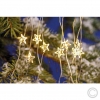 EGBLED Micro Bundle Fairy Lights with Stars 200 ww LED 10 Strands 4027236043423