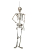 EUROPALMSHalloween Skeleton, 150 cm