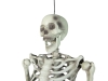 EUROPALMSHalloween Skeleton, 150 cm
