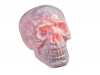 EUROPALMSHalloween Skull, 31x22x22cm