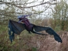 EUROPALMSHalloween Flying Dragon, 120cm