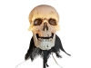 EUROPALMSHalloween Skeleton Head with Stake, Set of 3, 29cm