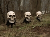 EUROPALMSHalloween Totenköpfe mit Erdspieß, 3er-Set, 29cm