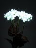 EUROPALMSHydrangea, white, with flowers, 100 LEDs