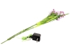 EUROPALMSArum set, 3 branches with LEDs, pink 85cm