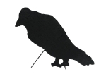 EUROPALMSSilhouette Crow, 63cm