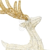 LottiLED reindeer with sleigh 60cm 75498Article-No: 837770