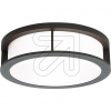 ORION LichtWall Light IP44 2xE27/15W AL11-1207 anthraciteArticle-No: 625750